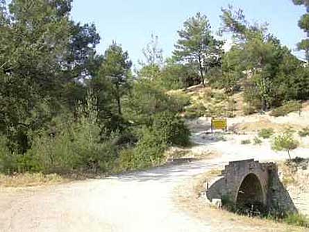Cyprus 
