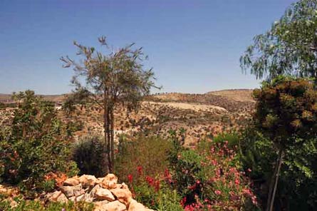 Cyprus 