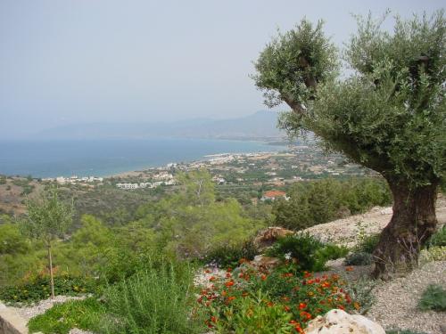 Cyprus neo chorio villa with views