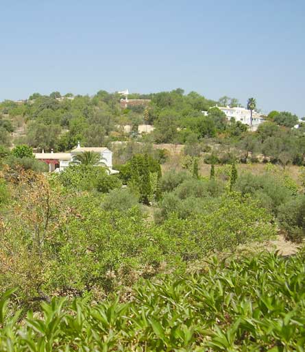 Portugal 