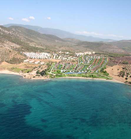 Turkey 