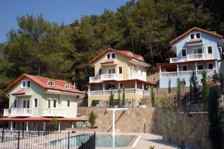 Turkey 