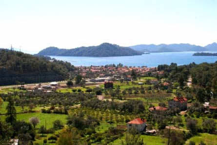 Turkey 