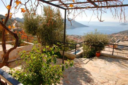 Turkey 
