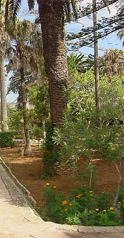 malta property from buy abroad